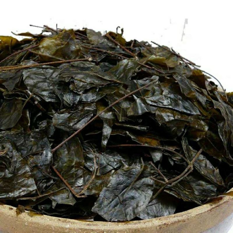 云南正品中药材毛冬青茶毛冬青叶新毛冬青毛冬青可泡茶