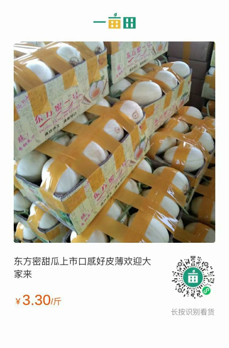 东方密上市口感好皮薄欢迎大家来下单