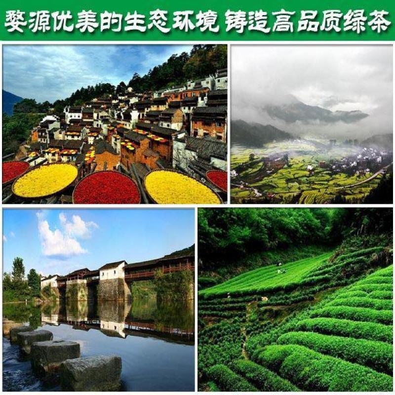 绿茶叶新茶绿茶批发高山云雾茶袋装炒青茶婺源绿茶