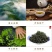 绿茶叶新茶绿茶批发高山云雾茶袋装炒青茶婺源绿茶