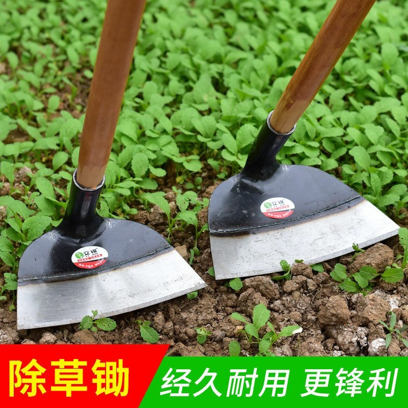 农用除草工具家用花园种草松土锄头户外多功能长柄锄头工地灰