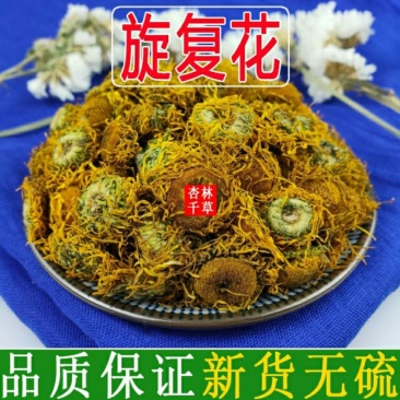 云南野生中药材旋覆花旋复花金钱菊包邮