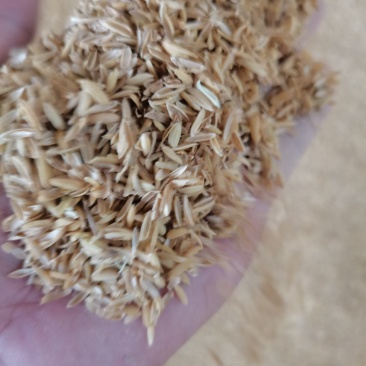 新鲜干净无杂质压缩稻壳