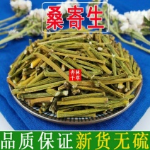 云南野生中药材桑寄生绿寄生深山野寄生寄生茶新鲜干货包邮