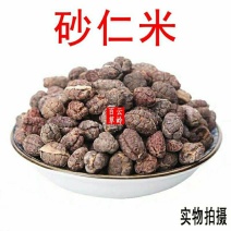 云南中药材砂仁阳春砂仁米去壳砂仁砂仁米包邮
