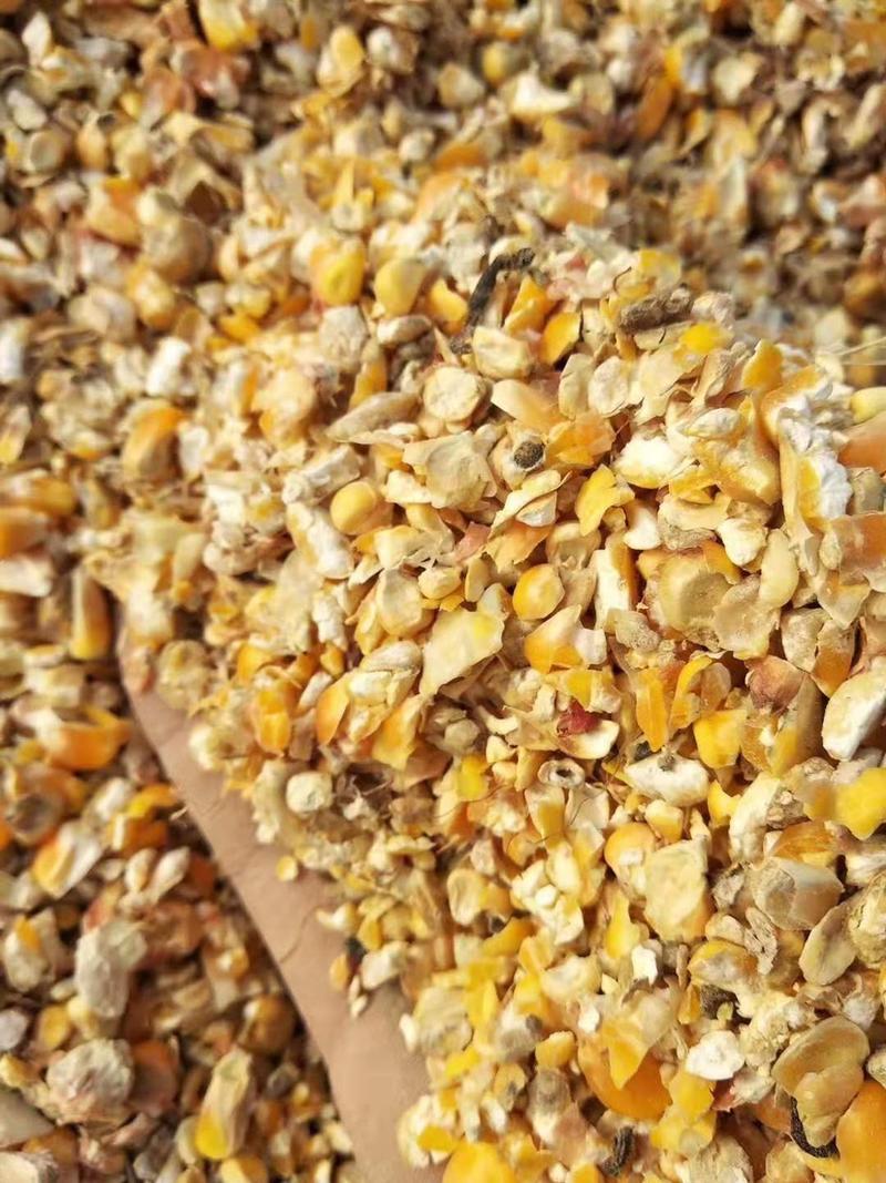 碎玉米碎小麦无土无霉变量大优惠保质保量欢迎咨询
