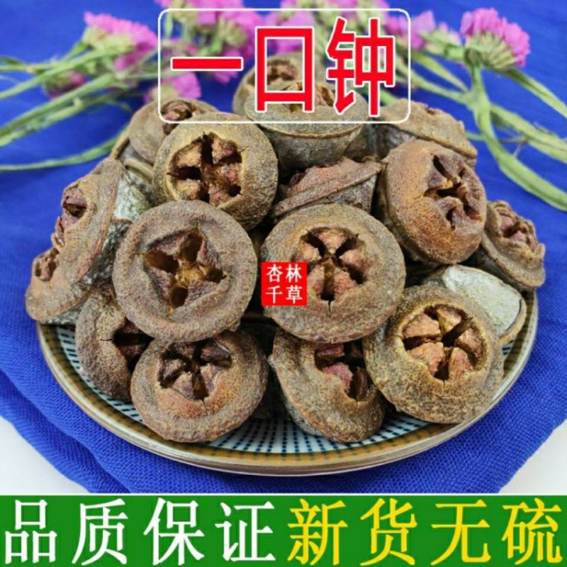 云南野生老树果一口钟一口盅泡酒泡茶包邮