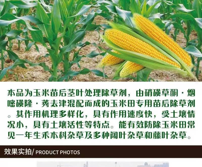 33%烟嘧磺隆硝磺草酮莠去津玉米田苗后安全除杂草除草剂