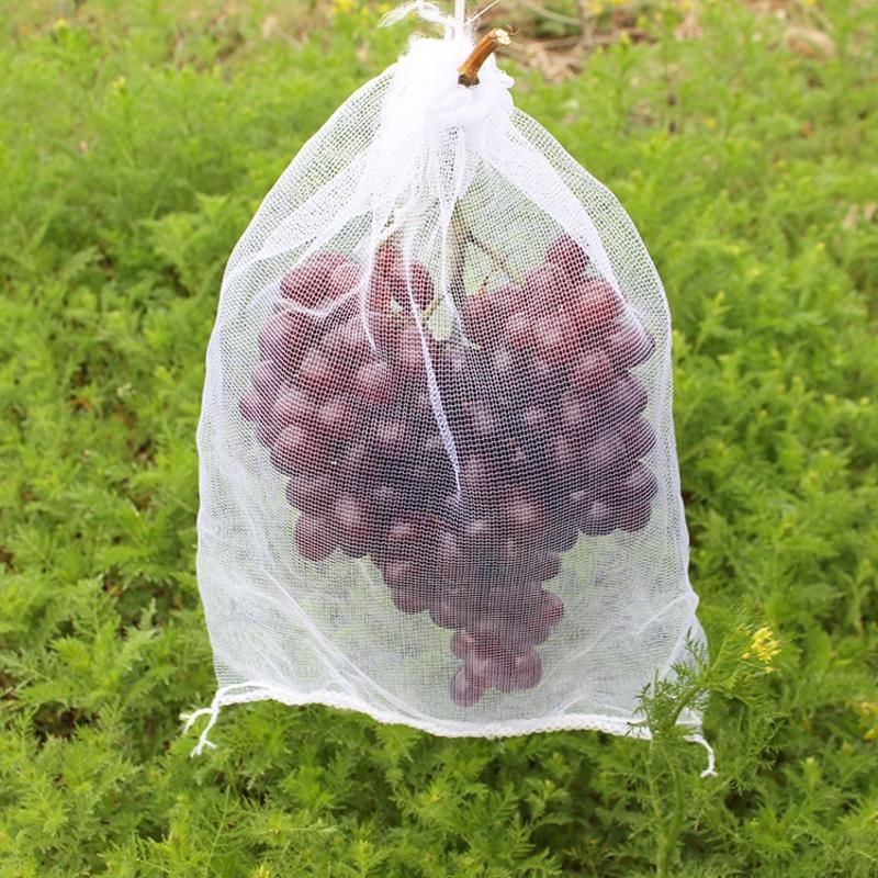 水果葡萄套袋防虫防鸟白色纱网袋子透气防果蝇套树苗枇杷