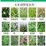 33%烟嘧磺隆硝磺草酮莠去津玉米田苗后安全除杂草除草剂