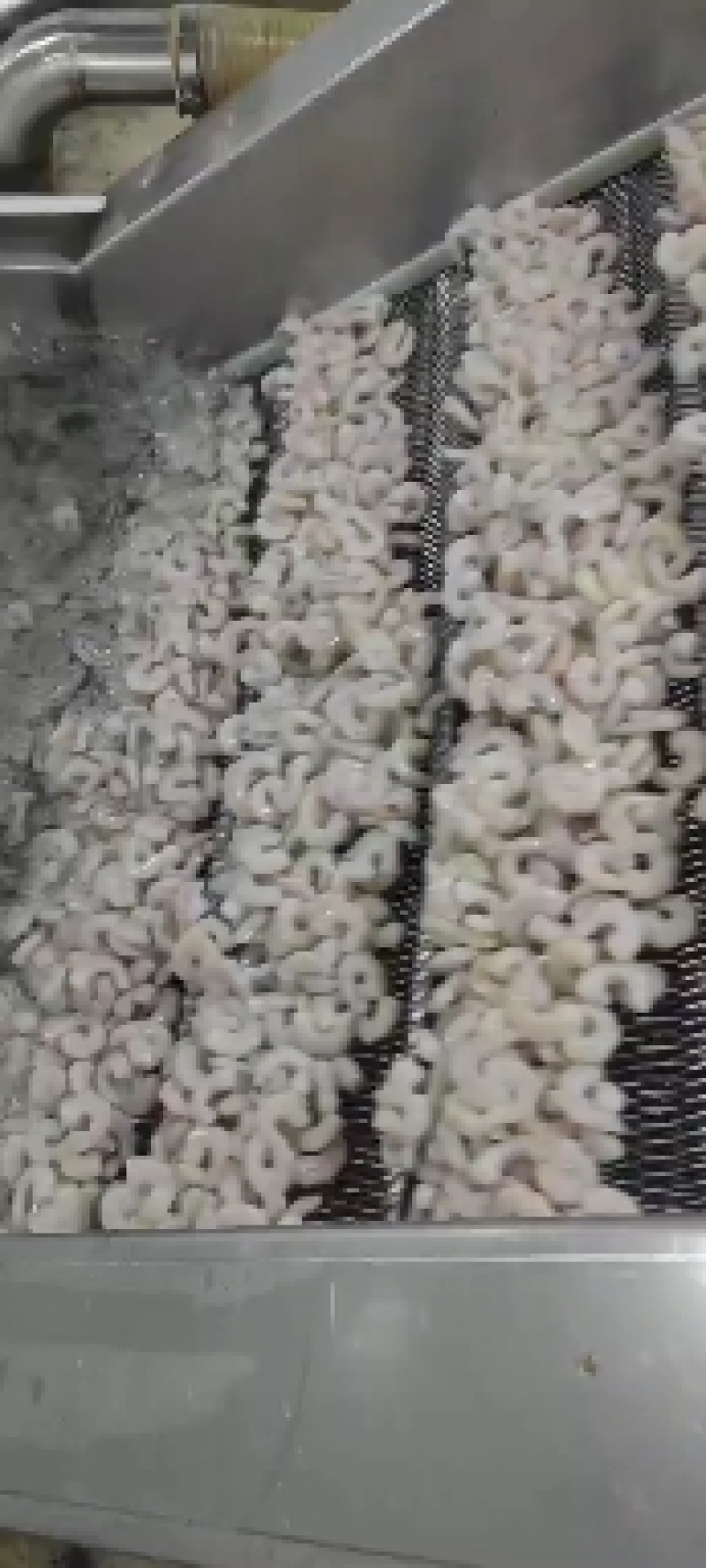 单冻青虾仁，鲜冻水产品，每天现剥虾仁，冷冻包装出库。