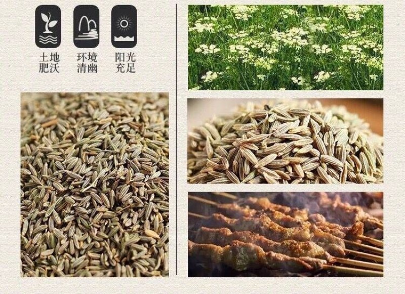 孜然粉烧烤调料撒料新疆小吃油炸烤肉孜然粉多省包邮免运费