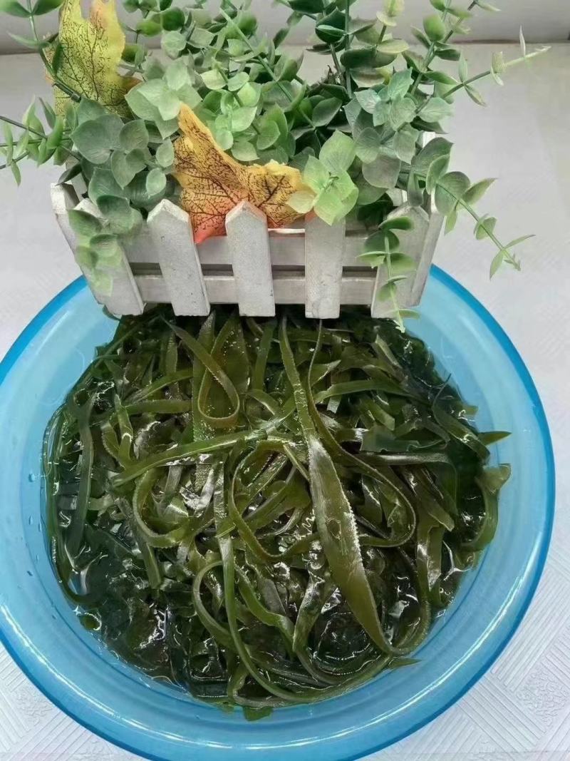 海带丝烘干海带丝厂家批发干海带丝价格便宜