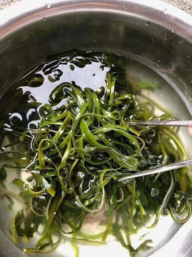 海带丝烘干海带丝厂家批发干海带丝价格便宜