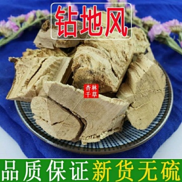 云南野生中药材钻地风追地风散装包邮