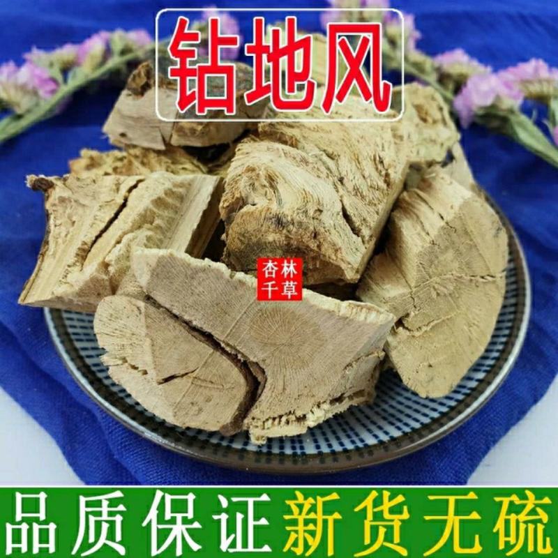 云南野生中药材钻地风追地风散装包邮