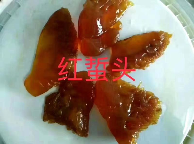 大量到货，菊花海蜇头、红蛰头、白花叶片海蜇头、蛰丝……