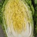 湖北山地王黄心菜，3～5斤，精品散装，袋装均可
