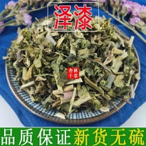 云南野生中药材泽漆猫眼草五朵云散装包邮