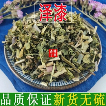 云南野生中药材泽漆猫眼草五朵云散装包邮