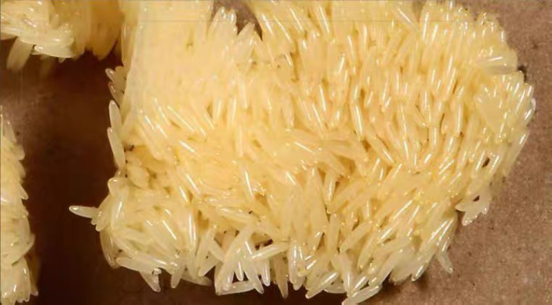 黑水虻虫卵足量高孵化率基地直供1克卵出6～7斤虫