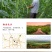 【一件代发】豆角腌泡豇豆泡菜榨菜下饭菜咸菜腌豆角超值包邮