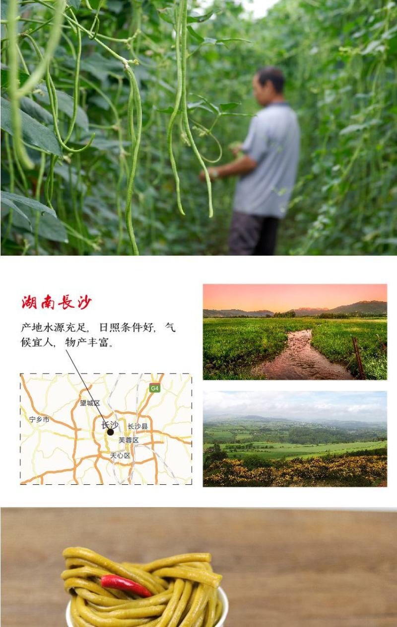 【一件代发】豆角腌泡豇豆泡菜榨菜下饭菜咸菜腌豆角超值包邮