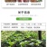 优质滇重楼苗高杆重楼苗七叶一枝花苗独角莲苗提供技术指导