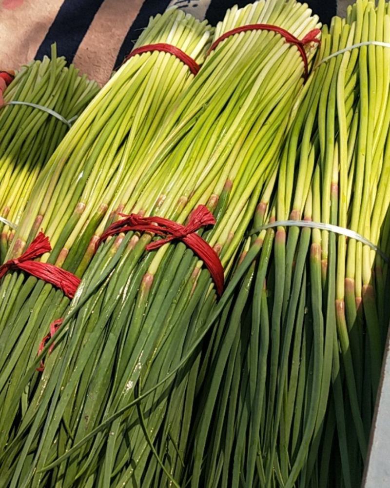 全国代发，红帽蒜苔，蒜薹，长60-80公分，价格随行就市