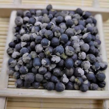 中药材批蔓荆子发曼荆子蔓荆实蔓青子万荆特级无硫包