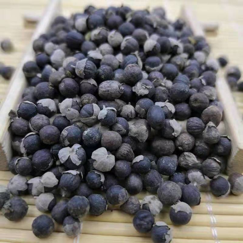 中药材批蔓荆子发曼荆子蔓荆实蔓青子万荆特级无硫包