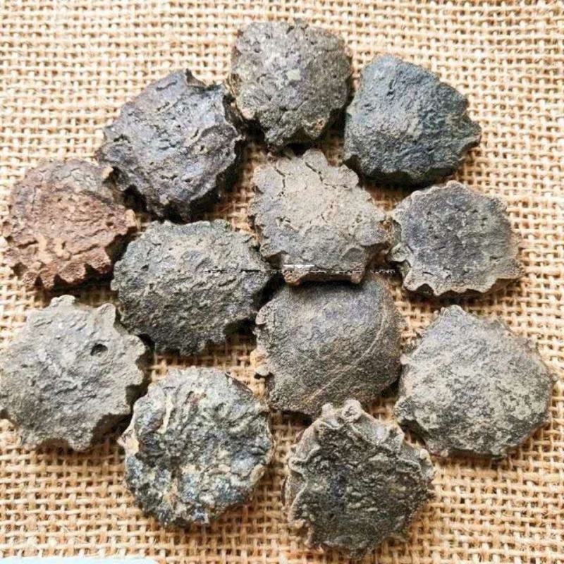 中药材木鳖子无硫番木鳖木别子土木鳖憋子果100g2
