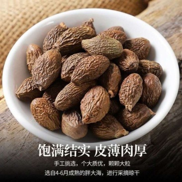 胖大海正宗无硫精选中药材胖大海量大从优欢迎选购