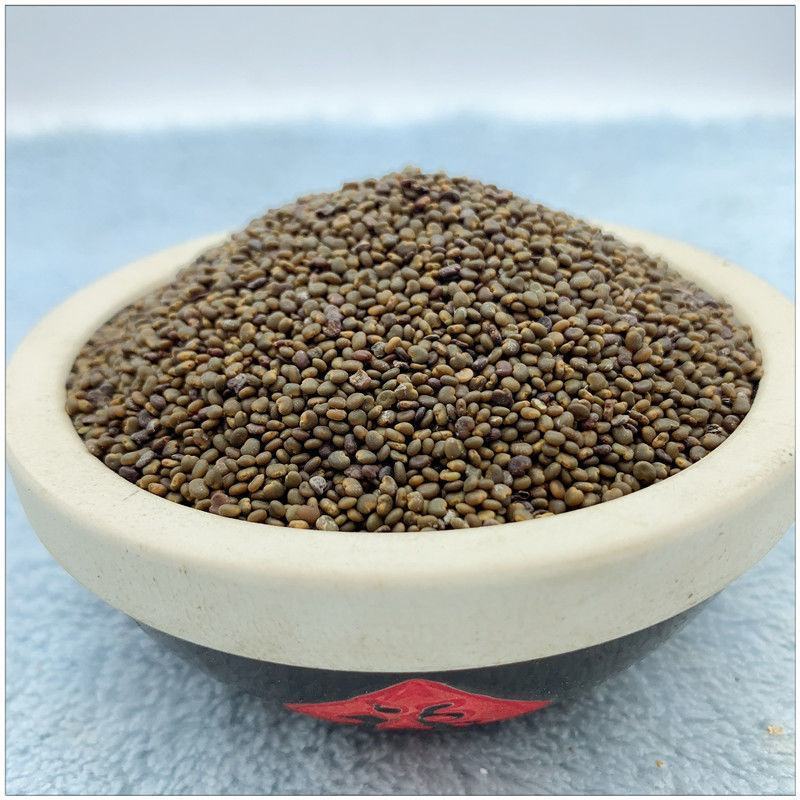 沙苑子无硫正品中药材野生沙苑子茶沙苑子粉沙菀子