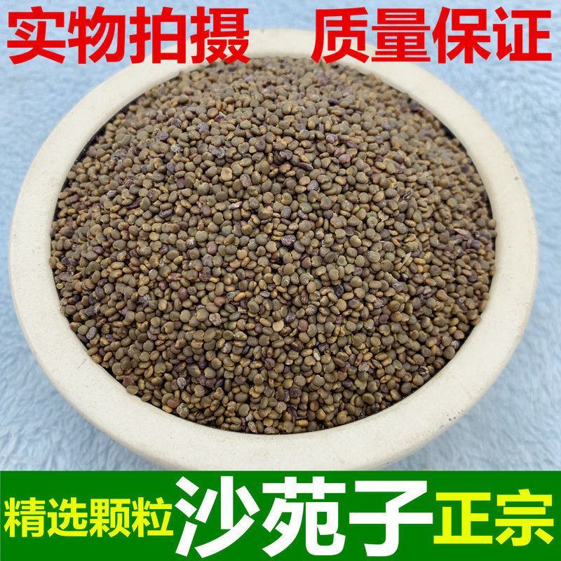沙苑子无硫正品中药材野生沙苑子茶沙苑子粉沙菀子