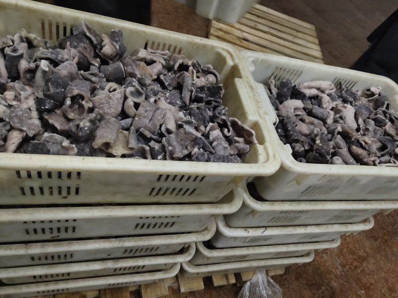 深海大乌参，自然冰整只、乌参残参、乌参切段、乌参丝