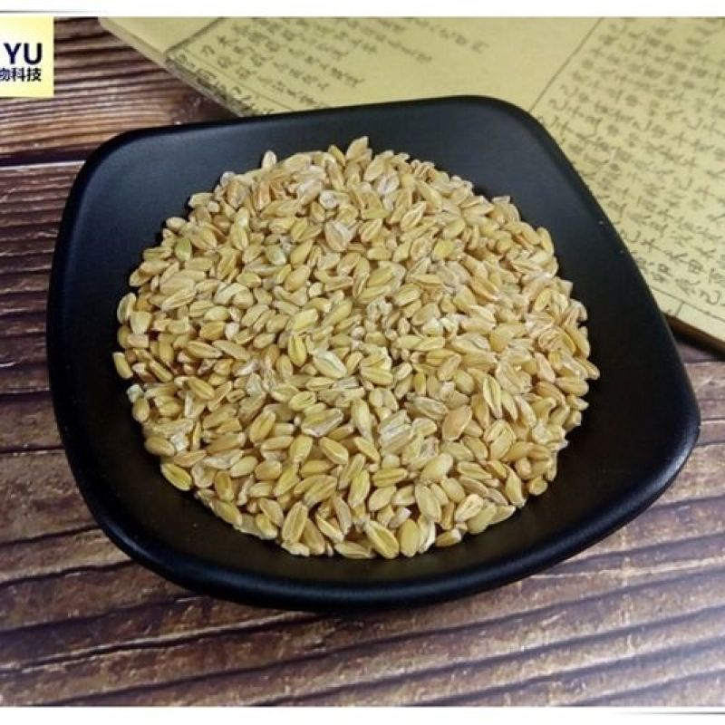 嘉煜浮小麦500g盗汗质量量大从优欢迎选
