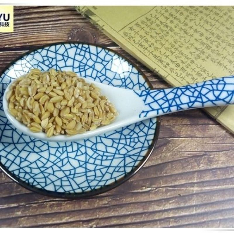 嘉煜浮小麦500g盗汗质量量大从优欢迎选