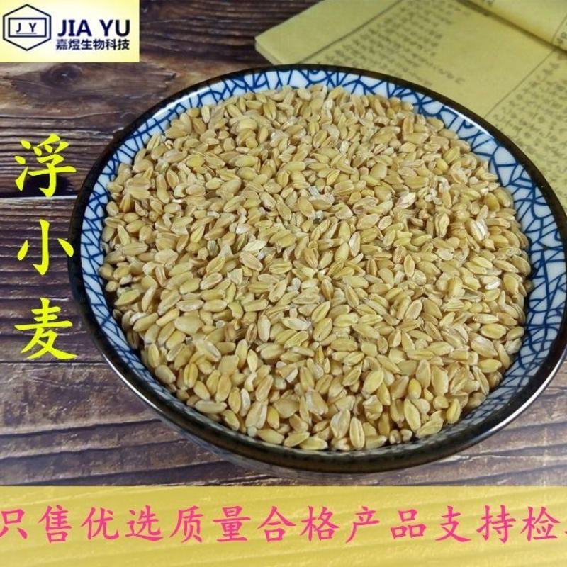 嘉煜浮小麦500g盗汗质量量大从优欢迎选