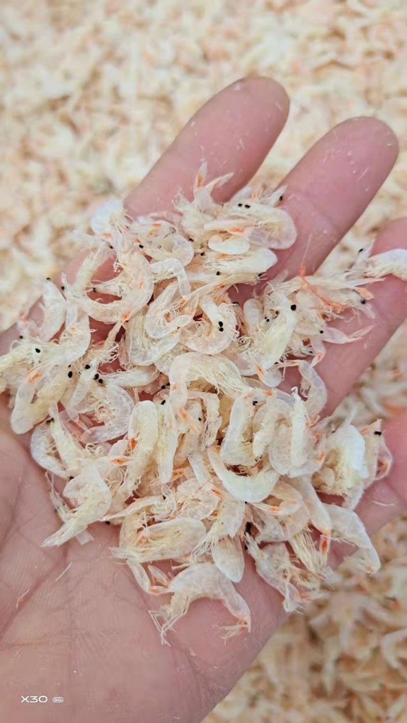 淡干虾皮不咸1箱9.5斤左右一手货源不包邮支持一件代发