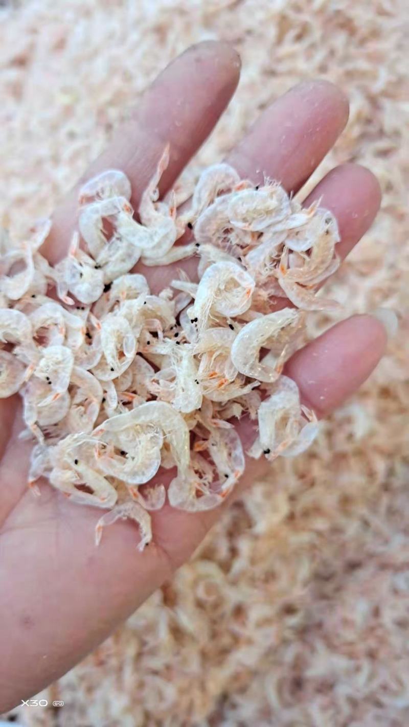 淡干虾皮不咸1箱9.5斤左右一手货源不包邮支持一件代发