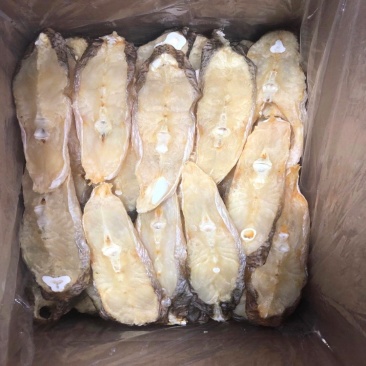 马友鱼马友肉马友片鱼干淡口咸鱼海鲜干货