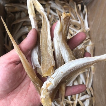 角鱼六角鱼角肉红头鱼鱼干咸鱼海鲜干货