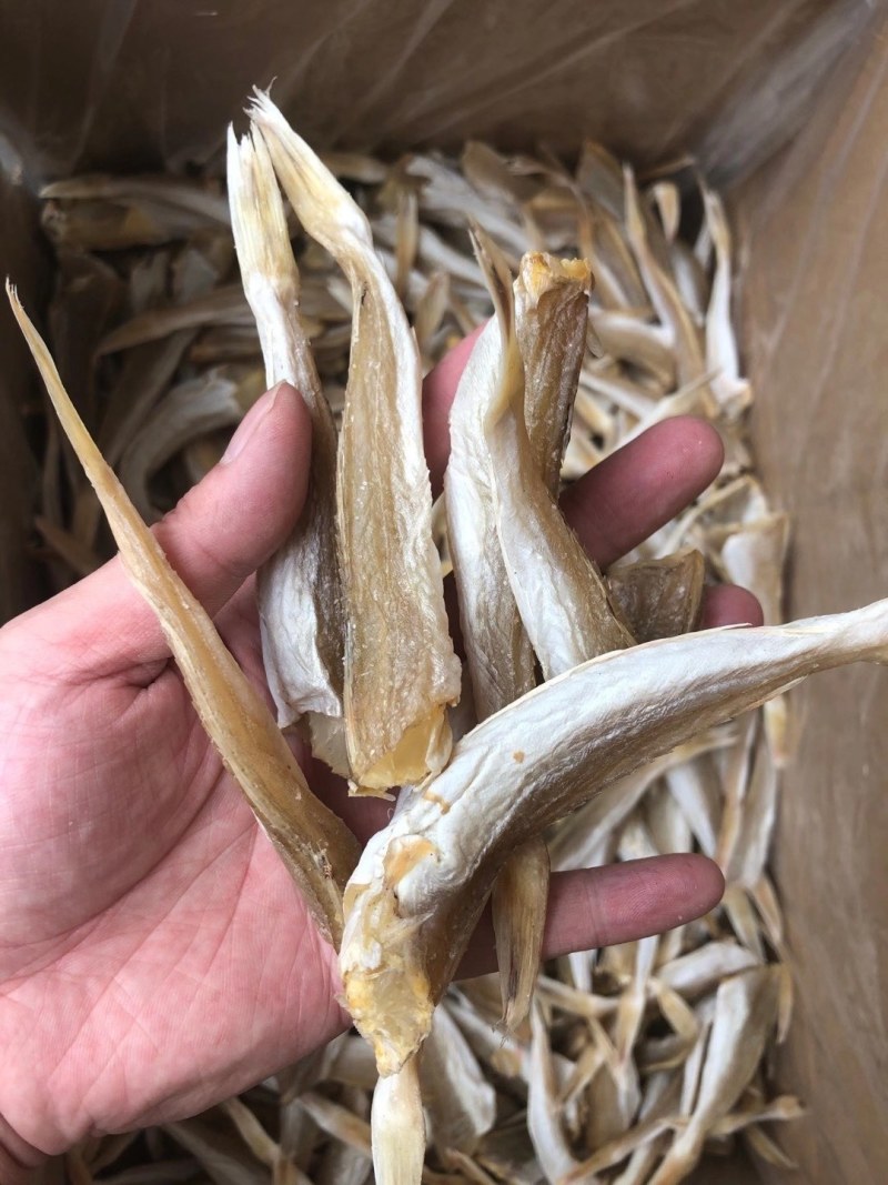 角鱼六角鱼角肉红头鱼鱼干咸鱼海鲜干货