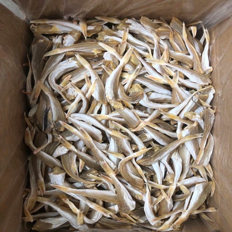 角鱼六角鱼角肉红头鱼鱼干咸鱼海鲜干货