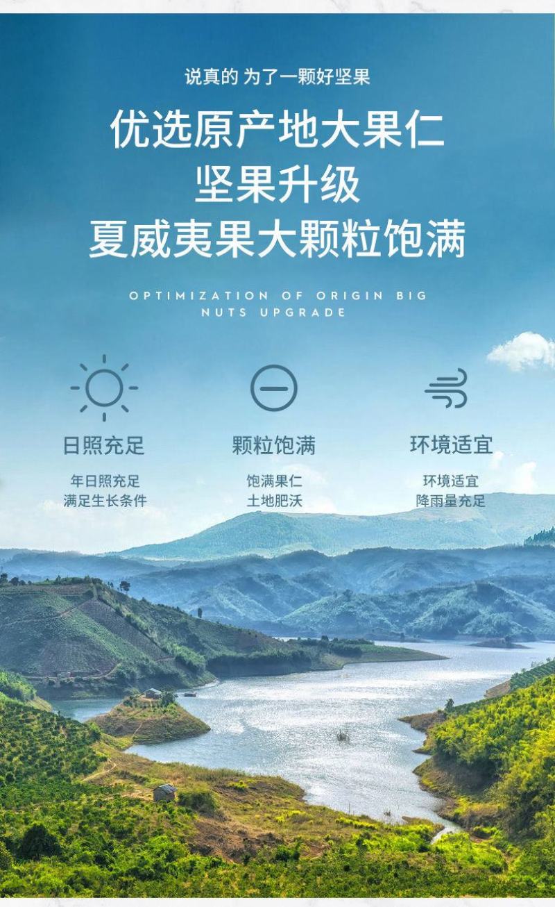 【一件代发】新货夏威夷果奶油味大颗粒散装坚果超值包邮