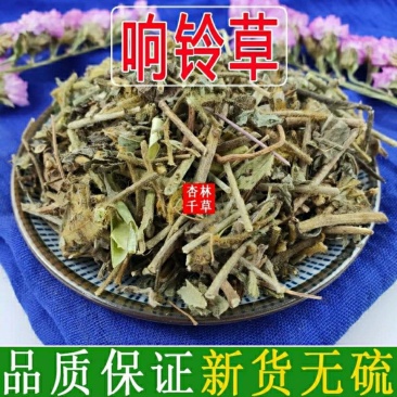 云南野生中药材响铃草马铃草散装包邮