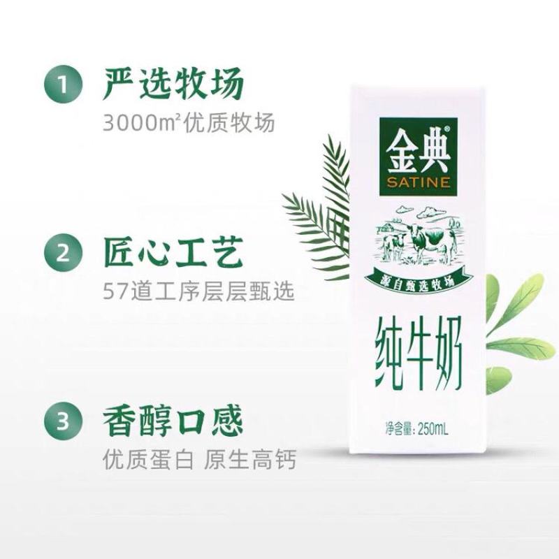 社区团购专用金典纯牛奶250毫升*12瓶保质期不超3个月