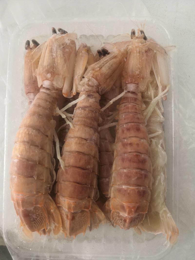带膏皮皮虾，慢爪煮熟冷冻，各种规格齐全。