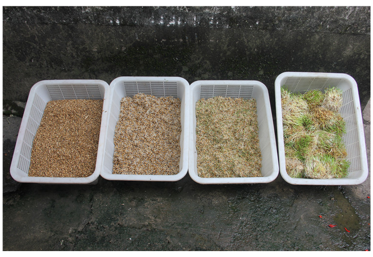 麦芽山楂水在厨房中煮制的过程图